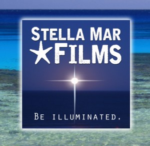 stella55